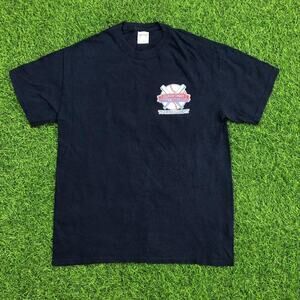 Vintage 2013 Upper Chesapeake Baseball Festival Graphic Tee